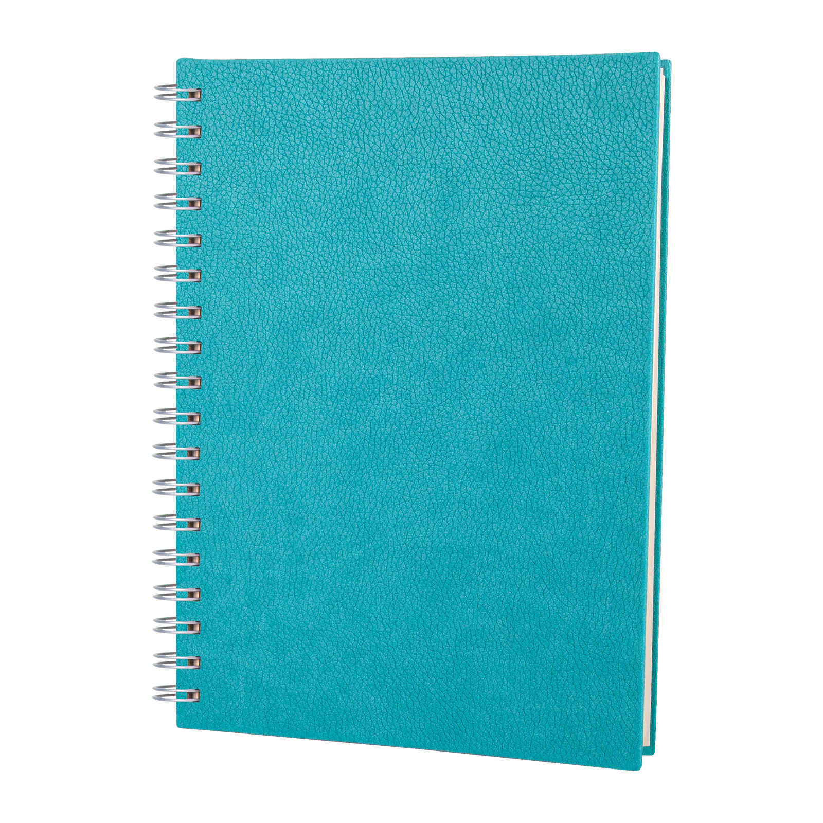 ALTINDAĞ TURKUAZ KARELİ SPİRALLİ TARİHSİZ DEFTER (17X24 CM)